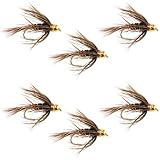 The Fly Fishing Place Bead Head Soft Hackle Pheasant Tail Nymph Fly Fishing Flies - Trout and Bass Wet Fly Pattern - 6 Flies Hook Size 12