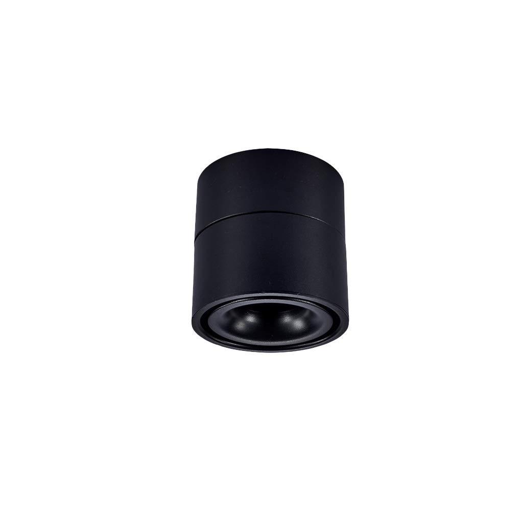 Spotlight rail LED 12W noir orientable pour éclairage de boutique et plafond