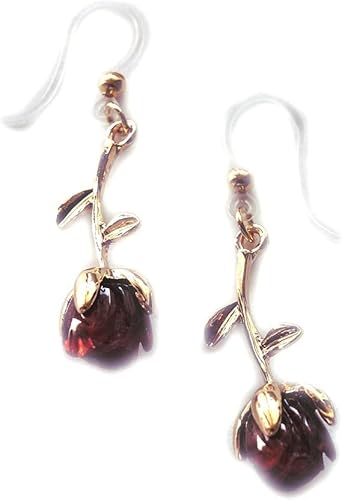 AjC  F KN ΂ o    tbN sAX (C bh)