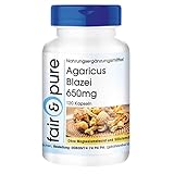 Agaricus Blazei 650mg (ABM - Agaricus Blazei Murill) - Vitalpilz - vegan - natürlich - ohne Magnesiumstearat - 120 Kapseln