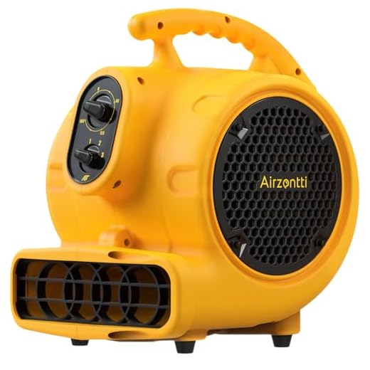 Heavy Duty Air Mover for Restoration Projects