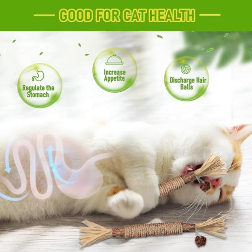 Simsky Katzenminze Sticks für Zahnpflege, 6 Stück, Kausticks für Katzen Zahnstein & Mundgeruch intelligenzspielzeug,Spielzeug Katzen selbstbeschäftigung