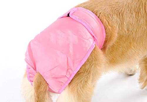 Pantalons hygiéniques pour chien contre les taches de menstruation dans la maison