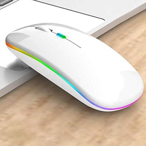 まうす 4902205484196.jpg