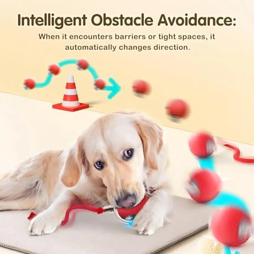 Automatic Ball Toy for Small Dogs & Cats - Rechargeable Self Play