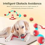 Automatic Ball for Small Dogs & Cats - Activated Moving Toy, Rechargeable, Self Play, Ball Toy with Long Tail Teaser - Image 2