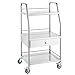 VEVOR Stainless Steel Utility Cart with 3 Shelves & 1 Drawer, 360 Swivel Casters, 220lbs Capacity