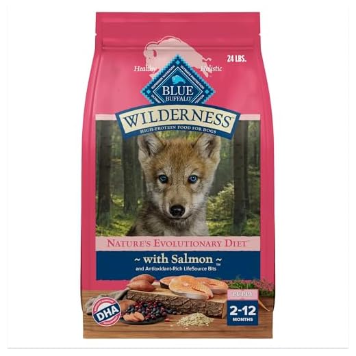 Blue Buffalo Wilderness High-Protein Natural Dry Food for Puppies, Salmon Recipe, 24-lb. Bag