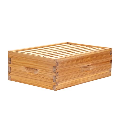 Honey Lake 8 Frame Beehive Medium Super Box Langstroth Beeswax Coated Bee Hive Super Box with Frames and Waxed Foundations for Beginners Beekeepers (Unassembled)