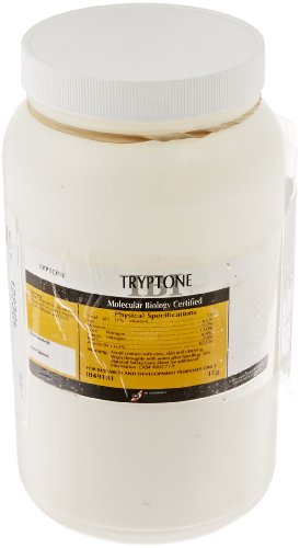 IBI Scientific IB49181 Tryptone Media, 1kg