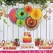 OVEE LANDO 2 Set of 6 Vibrant Bright Colors Hanging Paper Fans Rosettes Party Decoration 8