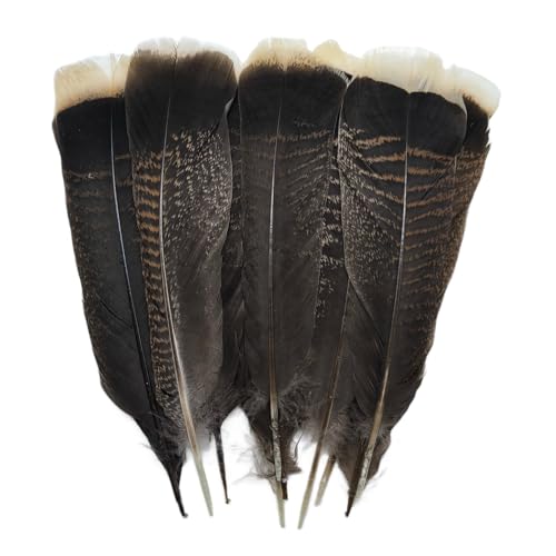 Turkey Feathers Natural Craft Feathers Long 8-10 Inch