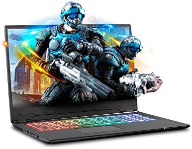 Sager NP8971 0.78 inches Thin and Light Gaming Laptop, 17.3 inches FHD 144Hz 3ms Thin Bezel Display, Intel Core i7-8750H, RTX 2060 6GB DDR6, 16GB RAM, 250GB M.2 SSD + 1TB HDD, Windows 10 Home