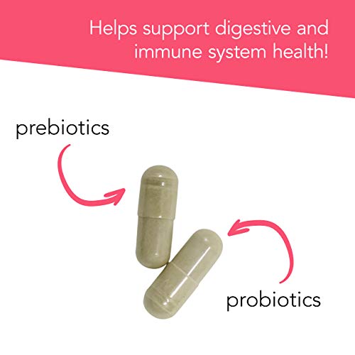 Vetriscience Vetri Mega Probiotic And Prebiotic For Dogs And Cats, 180 Capsules - Digestive Relief - Easy To Give Capsules - Gi Support #TOP4