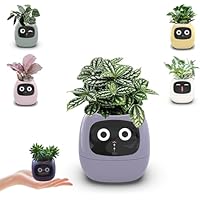 Vaso Intelligente Masdio Con AI - Mostra Emozioni, Temperatura E Umidità, Per Piante Da Interno - Foto 9