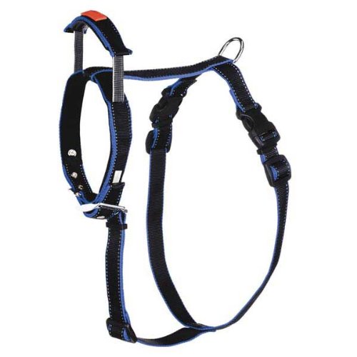 Patento Harness Short Leash, Medium, Black