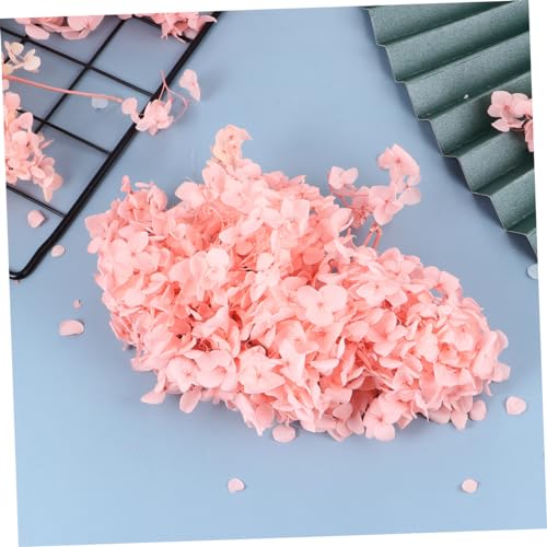 Wakauto pétalos secos naturales rosas de hortensia miniatura 6