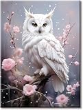 EIBEILI White Owl Paint by Numbers Kit for Adults Beginner,Plum Blossom Adult Paint by Number Kits on Canvas,Easy Canvas Paint by Numbers for Adults for Home Wall Decoration 12 X 16 inch