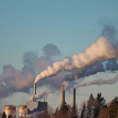 Breathing unequal air in the UK