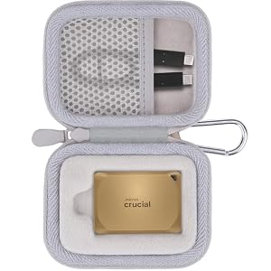 Aenllosi Hülle für Crucial X10/X10 Pro/X9/X9 Pro 1 TB/2 TB/4 TB SSD, Golden
