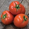 Burpee 'Super Beefsteak' Tomato Seeds for Planting - Non-GMO, Indeterminate, Beefsteak Slicing Tomato, 120mg Seed Packet for Home Gardening #2