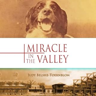 Miracle in the Valley Audiobook By Judy Belshe-Toernblom, Judy Belshe Toernblom cover art
