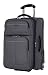 Ricardo Beverly Hills Mar Vista 22-Inch 2 Wheel Expandable Wheelaboard, Graphite, One Size