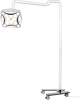EustomA 30W LED Shadowless Light Mobile Type Portable Auxiliary Floor Lamp LED Cold Lamp with 12PCS High Power Light Sources