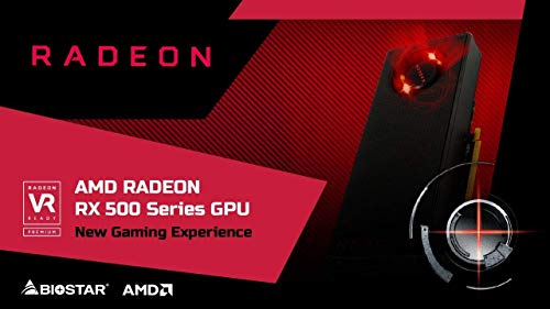 Biostar Radeon RX 550 D5 4 GB tarjeta gráfica interna PCI Express 3.0 4