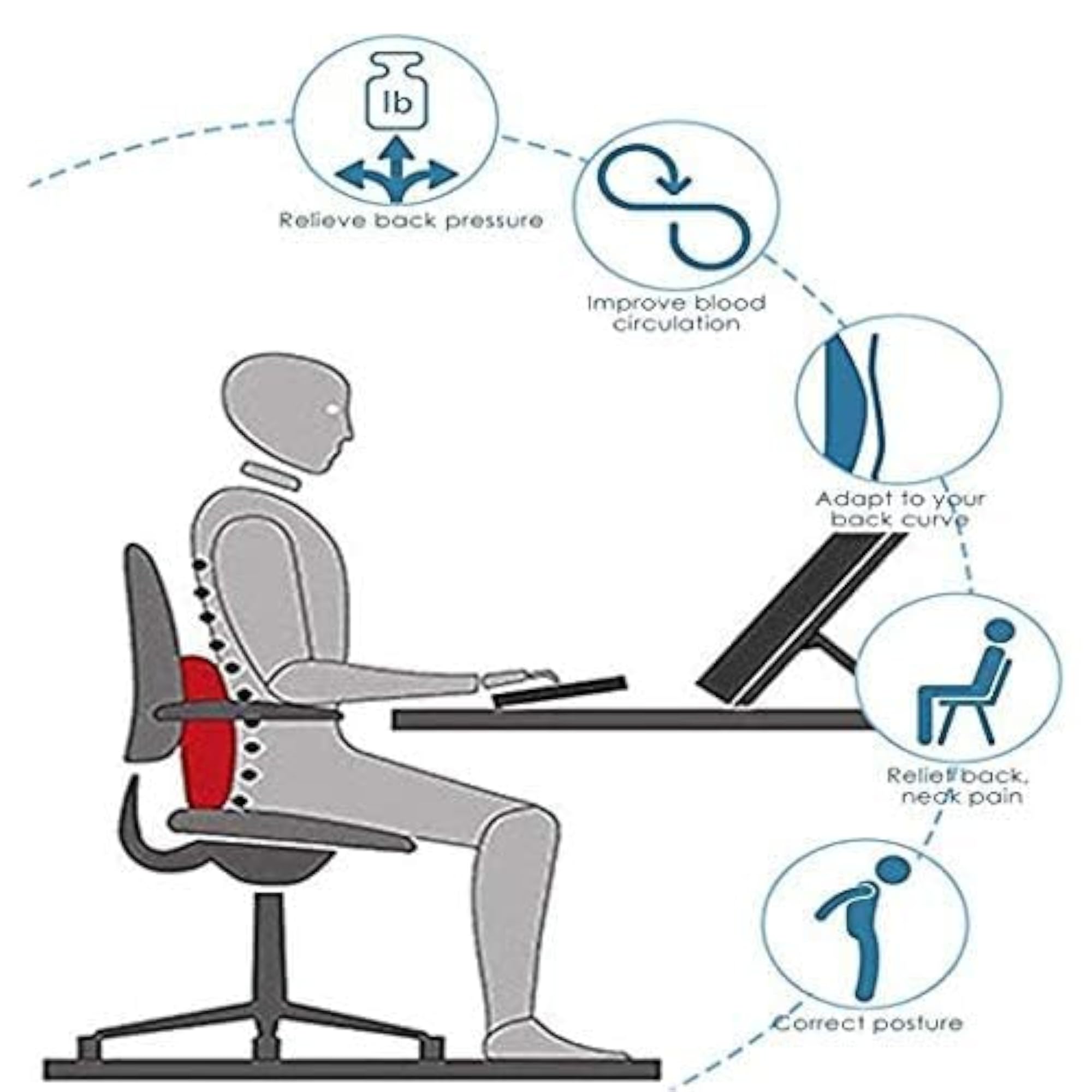 Backrest Support Cushion for Chair & Car, Ergonomic Lumbar Support