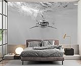 Eierme Shark Wall Mural Wallpaper for Bedroom 178' x 117'