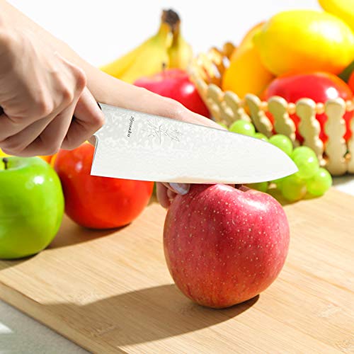 Syosaku Japanese Chef Knife Damascus Za18 69 Layer Octagonal Walnut Handle, Gyuto 9.5-Inch (240Mm) #TOP5
