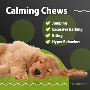 Premium Hemp Chews for Dogs | Natural Pet Calming Hemp Treats for Thunderstorms, Fireworks, Separation, & Traveling | Hip and Joint, Immune, & Overall Dog Health Support | 60 Soft Chews Premium Hemp Chews for Dogs | Natural Pet Calming Hemp Treats for Thunderstorms, Fireworks, Separation, & Traveling | Hip and Joint, Immune, & Overall Dog Health Support | 60 Soft Chews