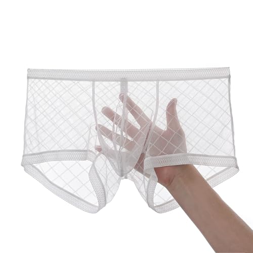 Men's Mesh Lace Boxer Briefs Sexy See Through Underwear Breathable Thin Bulge Pouch