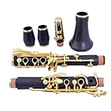 Cette clarinette est fabriquée en ABS, un matériau lisse et durable qui offre une excellente résonance, une grande stabilité, un son clair et une vibration stable. Les clés nickelées sont robustes et indéformables, tout en offrant une excellente élasticité et un confort de jeu optimal.