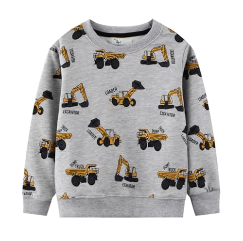Boys Sweatshirts Long Sleeve Sweatshirts T-shirts Crew Neck Cotton Casual Sweatshirts Cartoon Tops for Boys-225