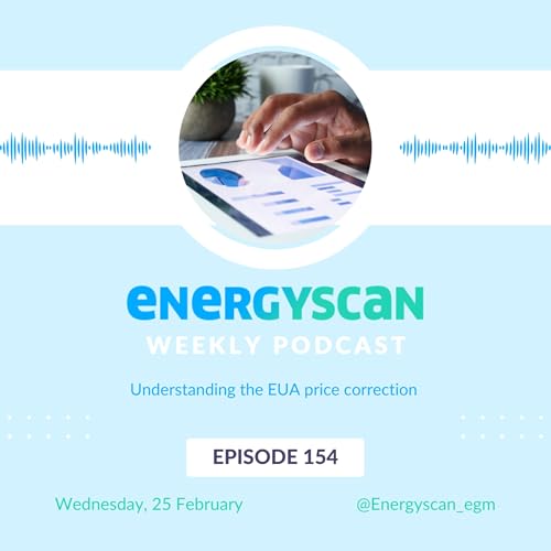 Special episode : Understanding the EUA price correction