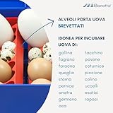 Zoom IMG-2 borotto lumia 16 incubatrice per Zoom IMG-2 borotto lumia 16 incubatrice per