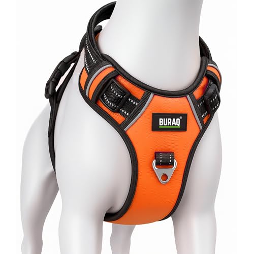 Image of Buraq Pets No Pull Dog Harness | Soft Padded for Small to Large Dogs