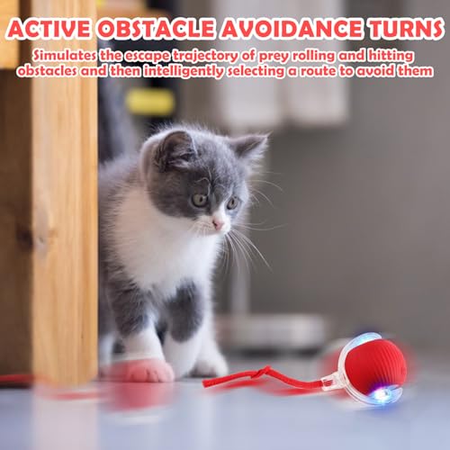 LETTERASHQP Katzenspielzeug Elektrisch Katzenball Elektrisch Elektronisches Interaktives Hundespielzeug Ball Katzenspielzeug Selbstbeschäftigung Smart mit Schwanz für Katzen Hunde (rot)