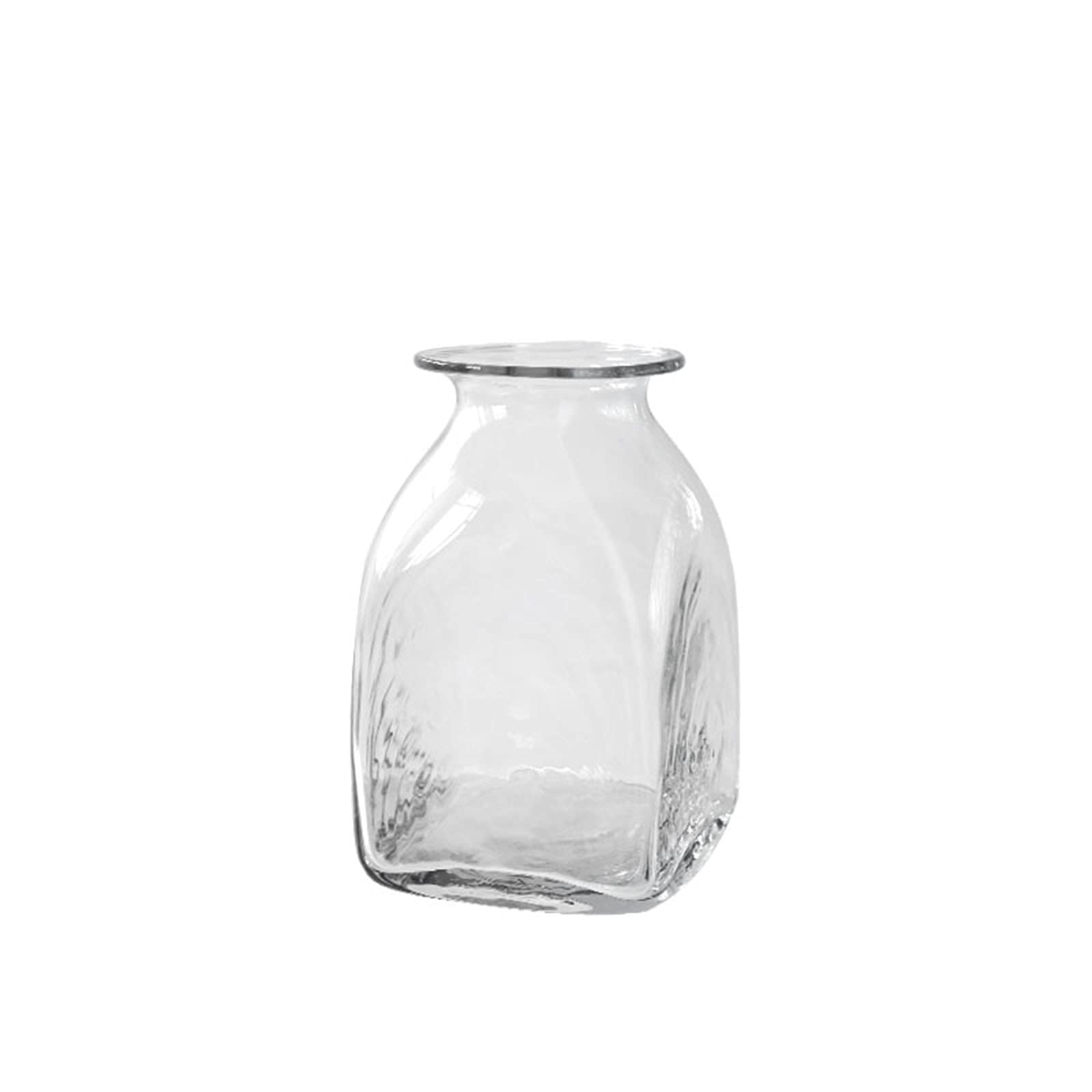 Vase hydroponique transparent pour éviter la terre et embellir la maison