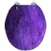 Round Toilet Seat Amazing Alcohol Ink Effect Purple Blue Colors Abstract Pattern Resin Toilet Seat Quietly Slow Close with Quick-Release Hinges Toilet Seat with Cover Easy to Clean Install