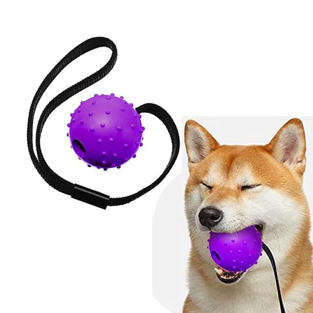 Emily Pets Dog Fetch Rubber Ball Rope Toy Interactive Dog Training Spike Ball Dog Toy Ball on a Rope Reward and Exercise Toy Fetching, Catching, Throwing and Tugging(L,Voilet) (B08VWJP872) Amazon Price History, Amazon Price Tracker