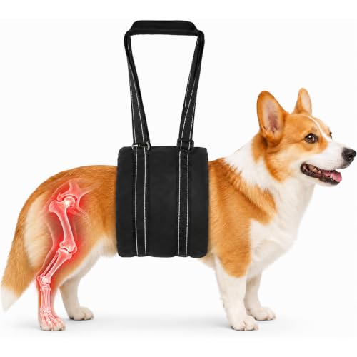 Adjustable Dog Lift Harness