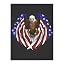 Usa Flag Patriotic Eagle