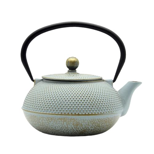 SECHUDO 30.4oz Small Cast Iron Teapot, Tea Kettle for Stovetop Safe, Tea Pot with Stainless Steel Infuser for Loose Tea, Japanese Tetsubin Coated with Enameled Interior(900ml) by SECHUDO - Used condition - US$29.62