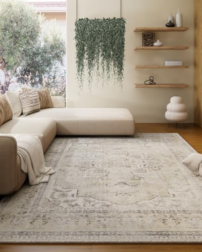 Washable Area Rugs for Living Room: 5x7 Area Rugs for