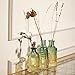 Joeyan Small Embossed Glass Bud Vase Set of 3,Green and Amber Colored Rustic Decorative Vase for Single Flower and Dry Flowers