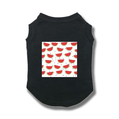 [XANPYO] ybg ̕  t  ^Ngbv ybg hbOEFA xXg  _炩 ^ ^ 񂱕 L  ʋC U o ybgpi @bV ubN 5XL ^ ^L