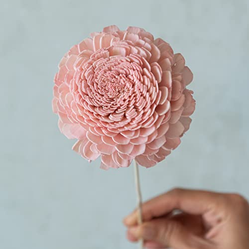Image of Pink Sola Belly Flowers On Stem | Natural Dried Flower | Eco-Friendly Flowers for Home, Office, Bedroom, Table Decoration and Craft Items Corner (Without Vase Pot)